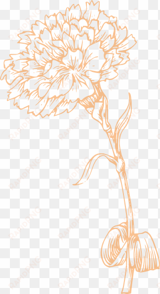 carnation vector - marigold flower black and white