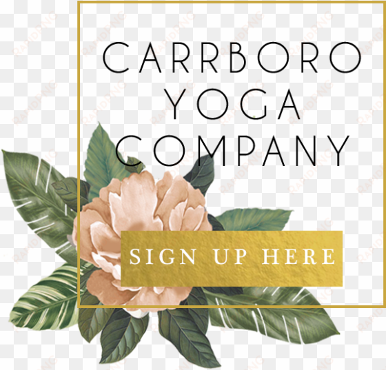 carrboro yoga button pink flower - carrboro yoga company