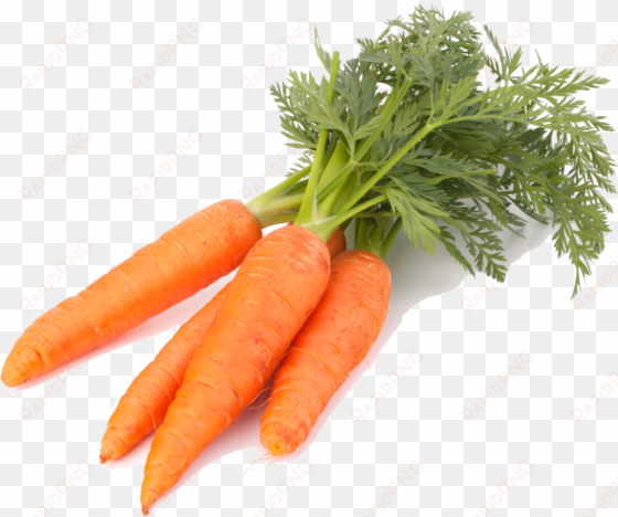 carrot image png - carrots transparent background