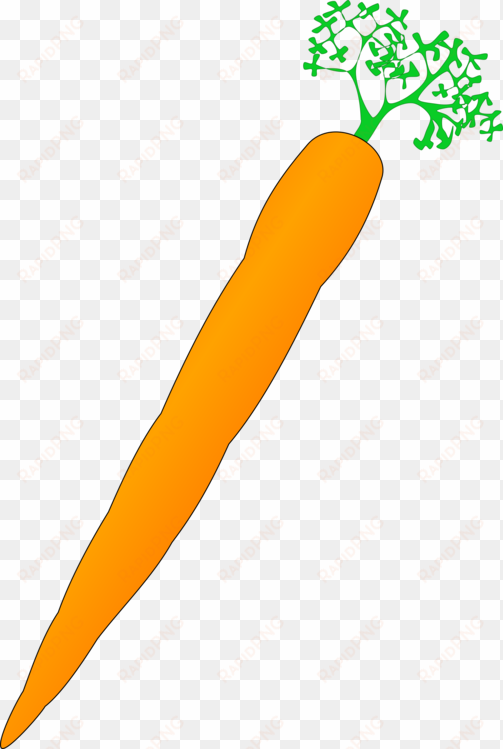 carrot nose vegetable drawing computer icons free commercial - cartoon carrot transparent background