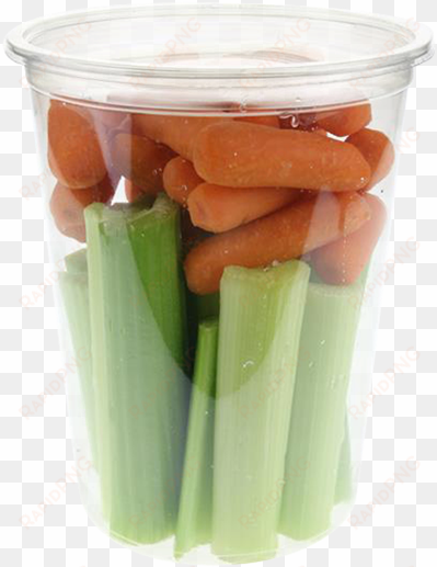 carrots and celery - leek