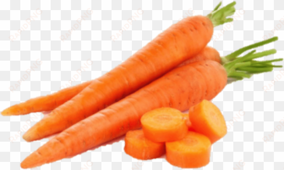 carrots png image free - imagenes de una verdura