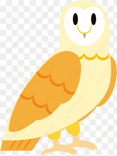 cartoon barn owl - barn owl