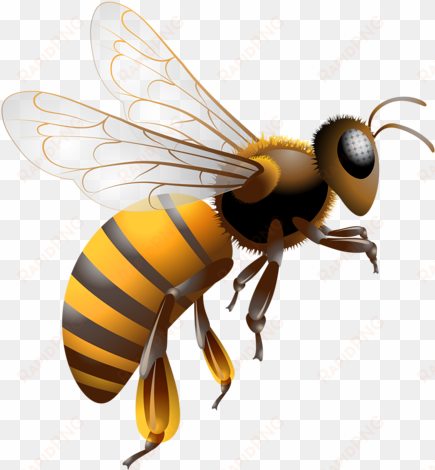 cartoon bee clipart character - ee or jolly phonics