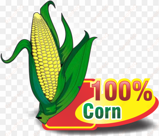 cartoon corn png, vectors, psd, and clipart for free - 100% maiz logo