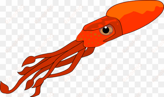 cartoon drawing at getdrawings - squid clip art