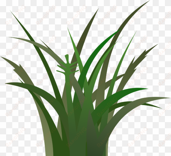 cartoon grass texture - grass clipart