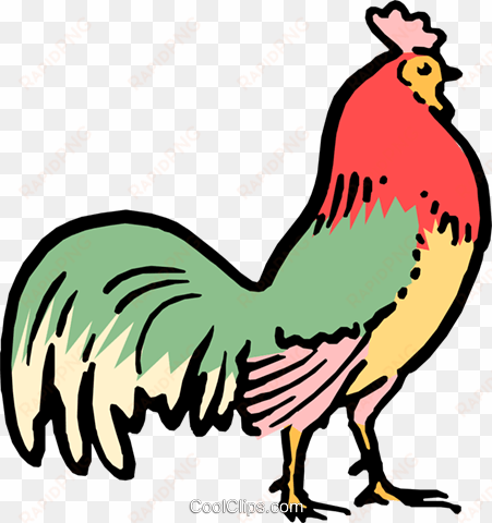 cartoon rooster royalty free vector clip art illustration - rooster cartoon