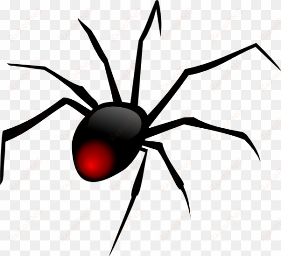 Cartoon Spider Template - Spider Clipart Png transparent png image