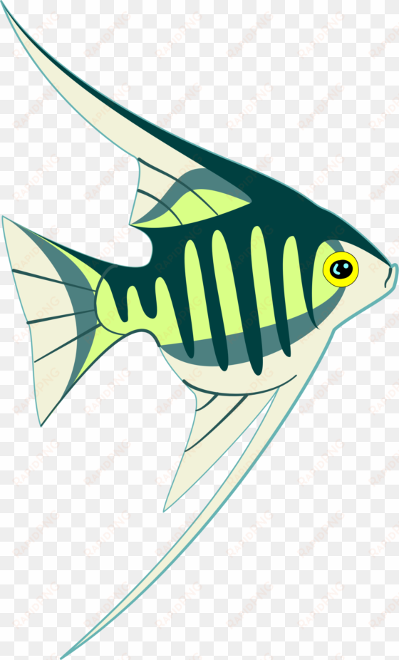 cartoon tropical fish clip art - clip art