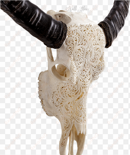 carved buffalo skull - xl horns