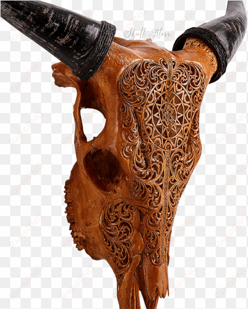 carved cow skull - cattle