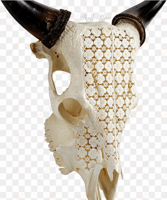 carved cow skull - xl horns