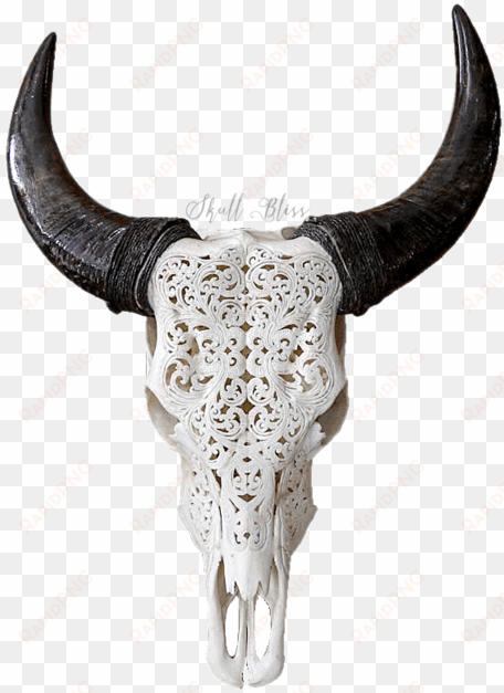 carved cow skull // xl horns - skull of a bull black and white