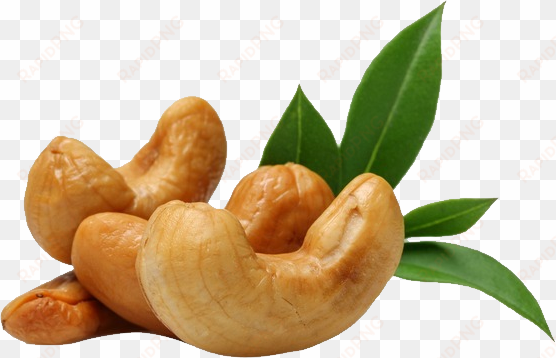 cashew nut png - cashew nuts icon png