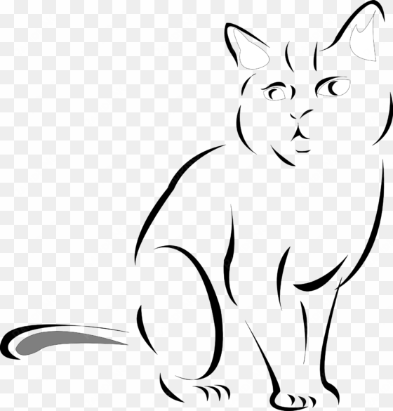 cat anatomy drawing - draw black and white cat