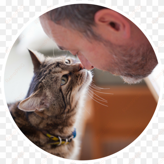 cat caregivers - cat and man love