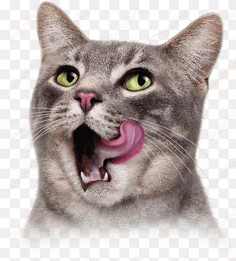 cat tongue png vector black and white library - purina friskies cat concoctions variety pack cat food