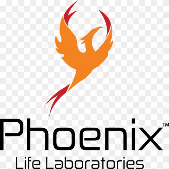 category - cannabis oil logo phoenix