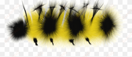 caterpillar transparent png - caterpillar transparent