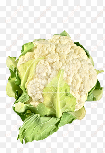 cauliflower png - cauliflower transparent background