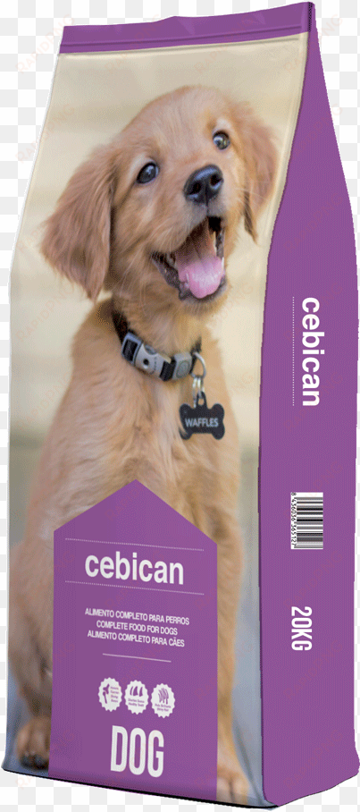 cebican puppy - dog