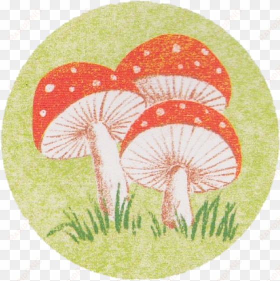 celebrate picture books picture book review round mushrooms - portable network graphics