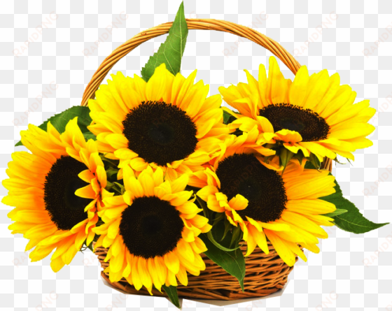 cell traditional basket online - sunflower basket png