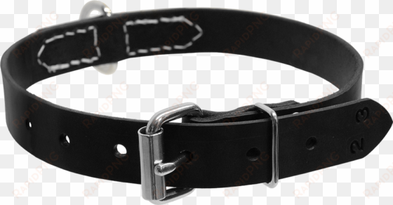 Center D Ring Collar - Activedogs.com Single Layer Center D-ring Leather Dog transparent png image