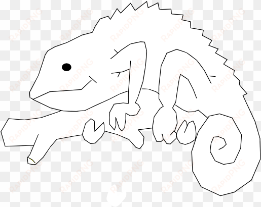 chameleon png transparent - coloring book