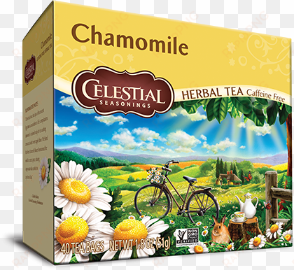 chamomile herbal tea - celestial seasonings chamomile