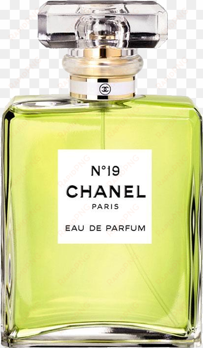 chanel no. 19 eau de perfume vapo 50 ml