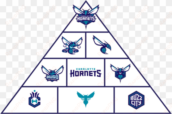 charlotte hornets logo pyramid - charlotte hornets jersey logo