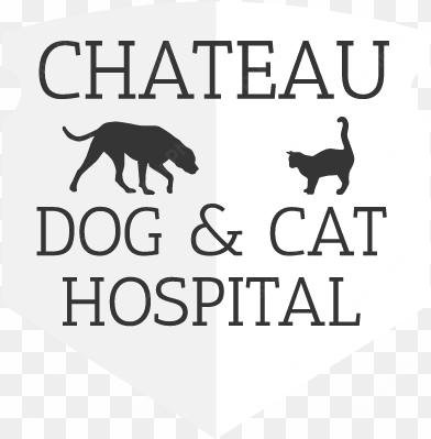 chateau dog & cat hospital - chateau dog & cat hospital