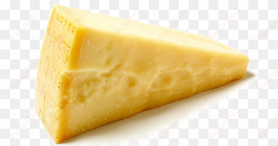 cheese png background - parmesan cheese