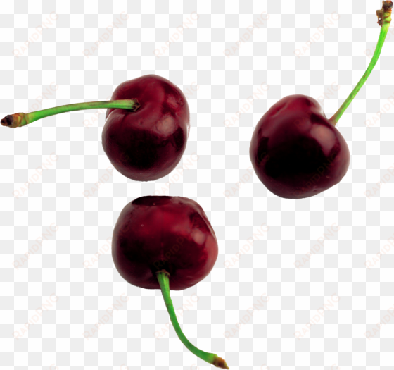 Cherries Black transparent png image