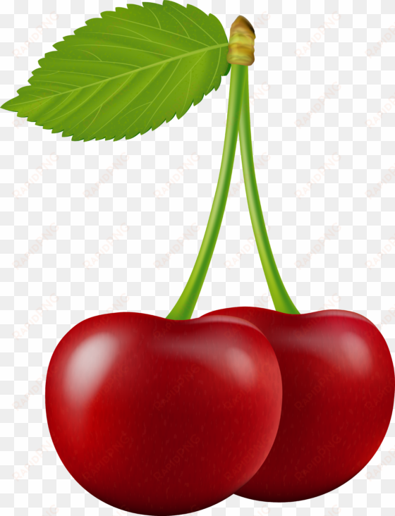 Cherries Clipart Coffee Cherry transparent png image