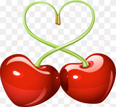 Cherries Clipart - Vector Cherry transparent png image