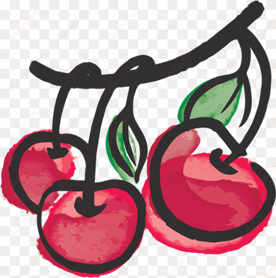 Cherries Illustration - Cherry Illustration Png transparent png image