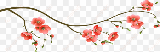 Cherry Blossom Branch2 - Cherry Blossom Branch Png transparent png image