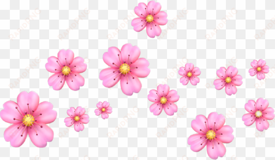 cherry blossom clipart crown - cherry blossom emoji png
