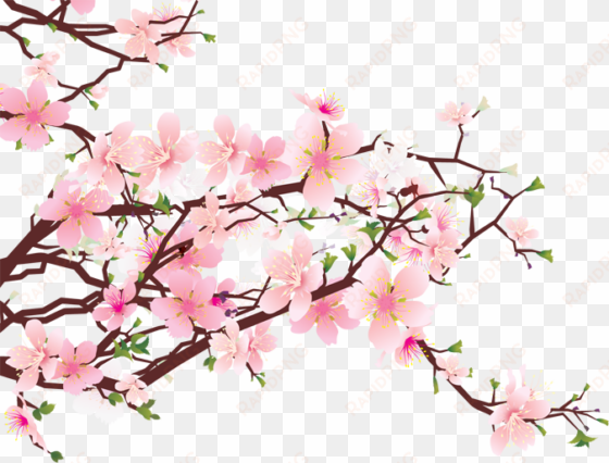 Cherry Blossom Png - Cherry Blossom Art Png transparent png image