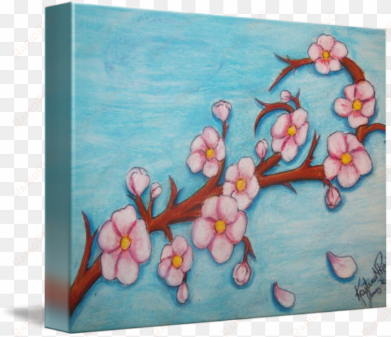 cherry blossoms by kristina robak - cherry blossoms