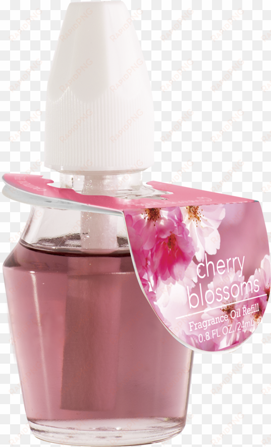 cherry blossoms fragrance oil