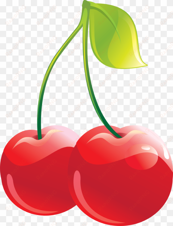 Cherry - Cherries Clipart Png transparent png image