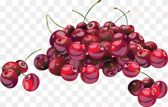 cherry - cherry free