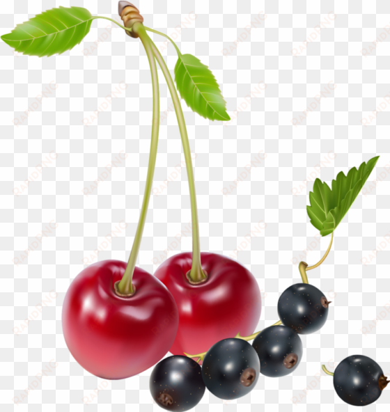 cherry clipart blueberry - fixing hiatus hernia: a natural hiatus hernia diet