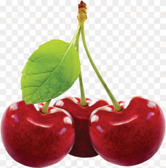cherry fruit png image - body cupid shower gel, cherrylicious, 400ml