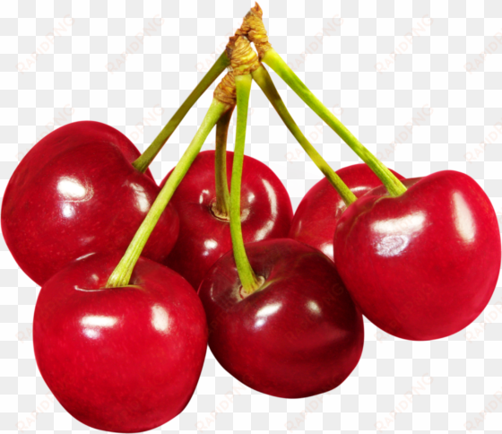 cherry png