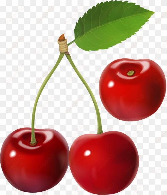 cherry png